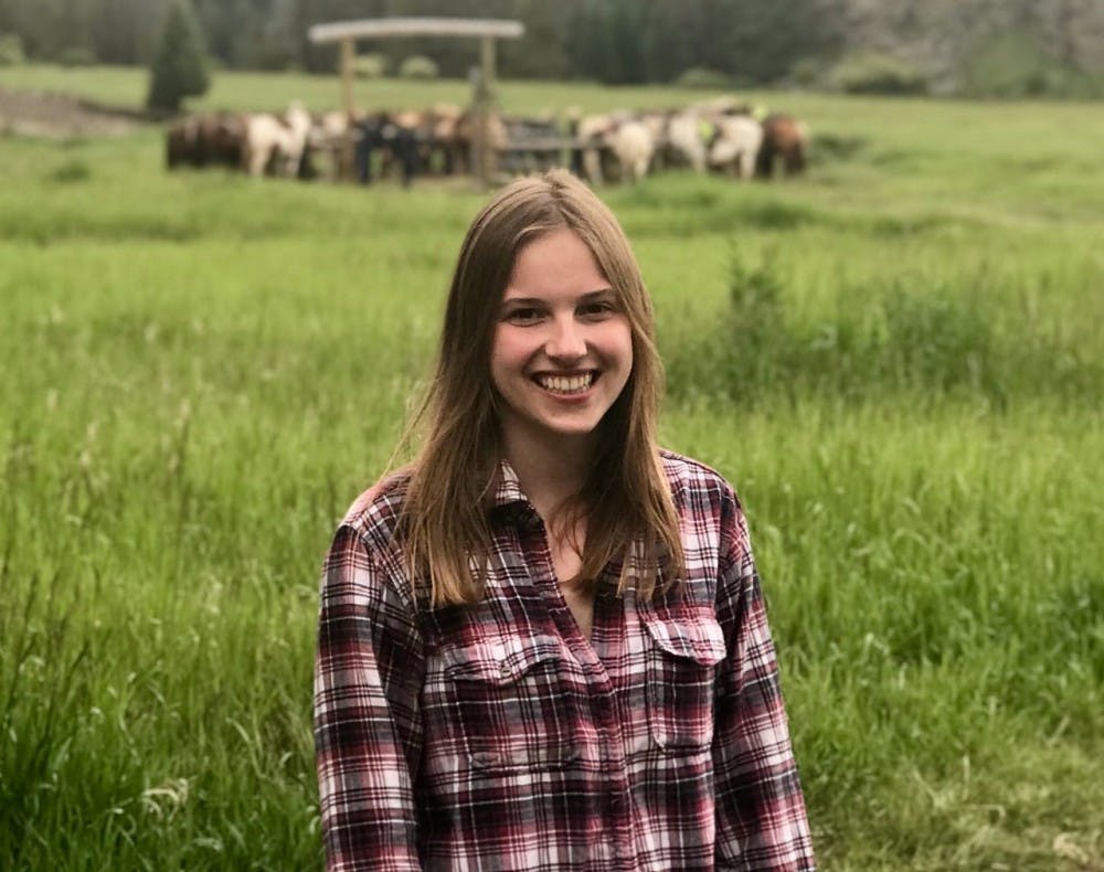 katie-carithers