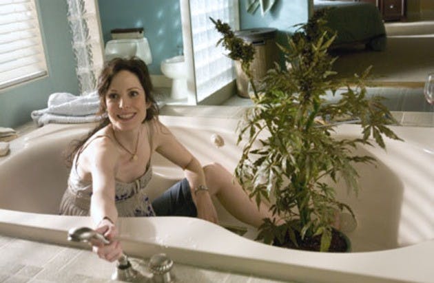 Weeds' plays on Mondays at 10 p.m. on Showtime.