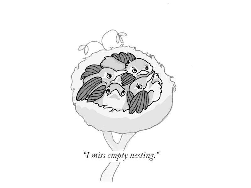 I_miss_empty_nesting.png
