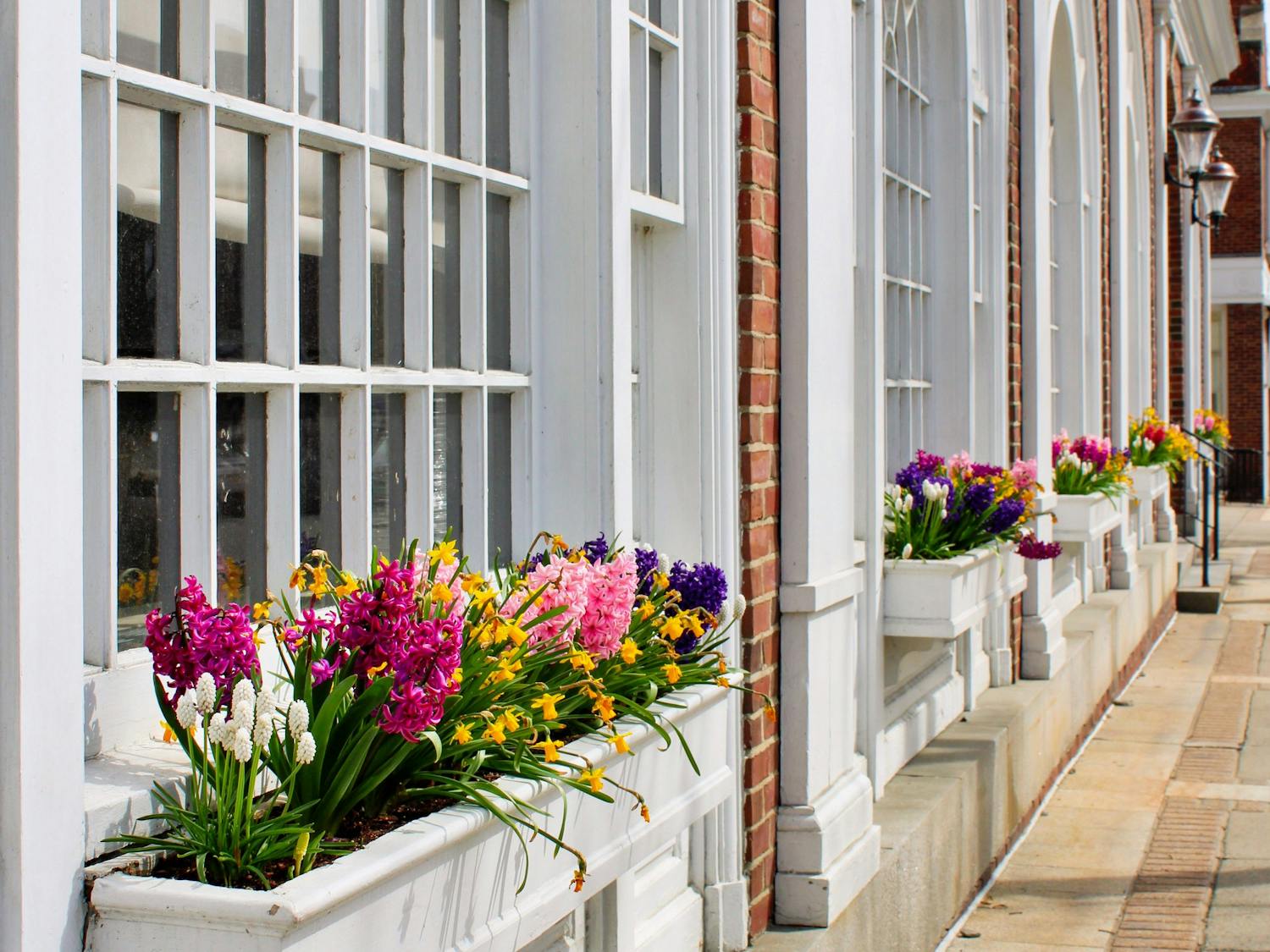 April Showers Bring May Flowers