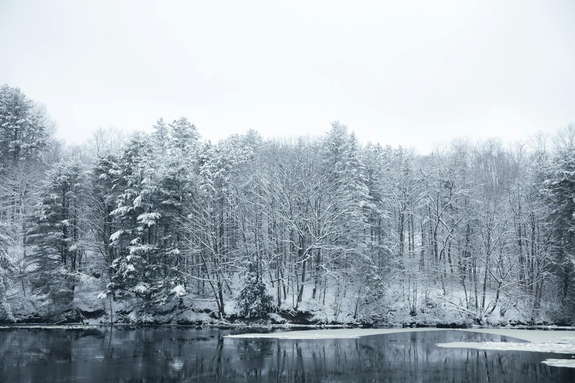 Photo Essay: Winter in Hanover