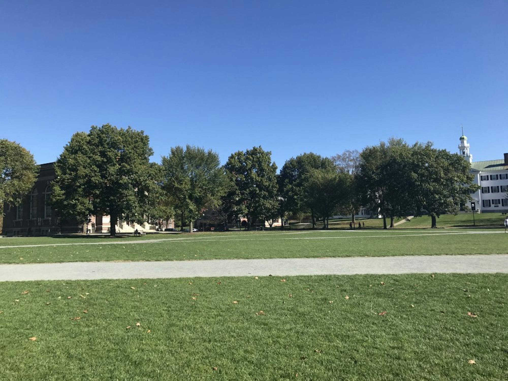 Dartbeat - trees on NE corner of Green.jpg