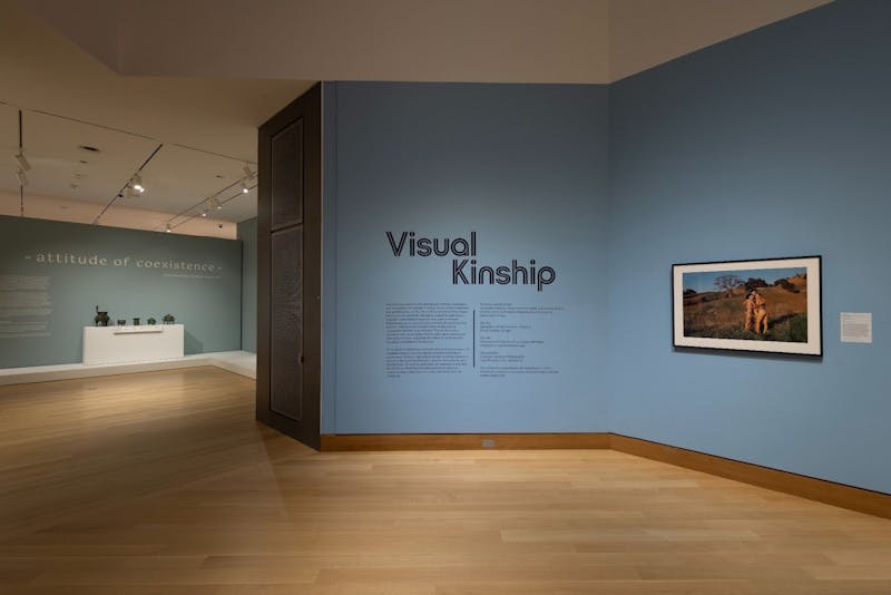 ‘Visual Kinship’ explores how photography shapes the idea of family