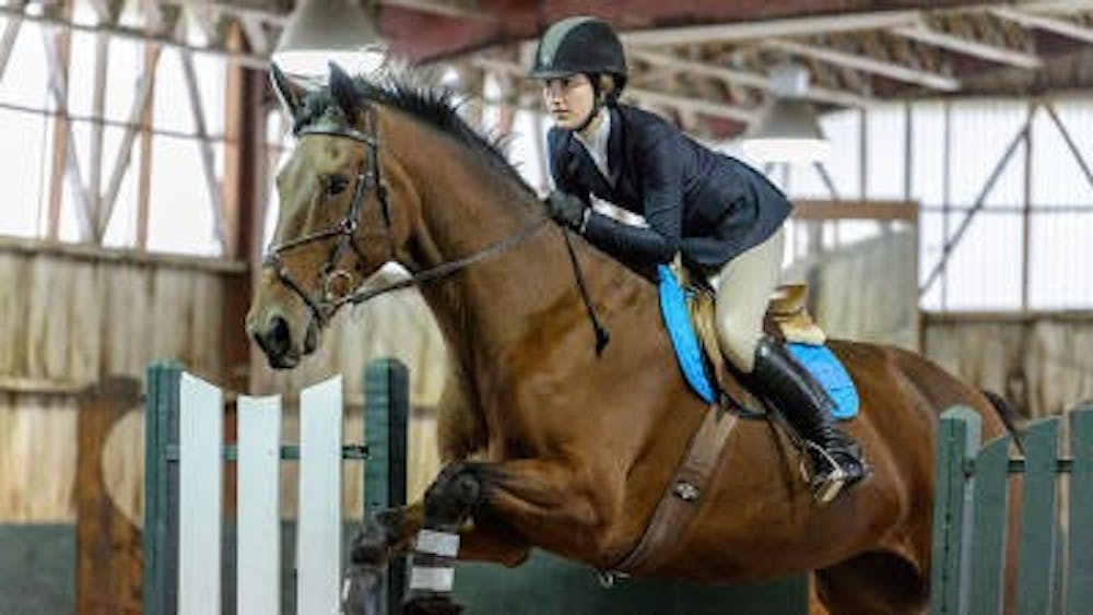 3-7-16-sports-equestrian-courtesy