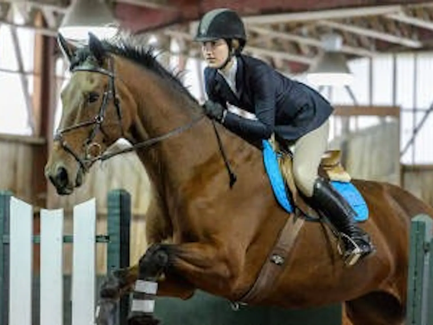 3.7.16.sports.equestrian_courtesy