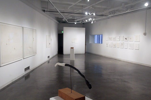 Artist-in-residence Linda Matalon recently opened her ninth individual exhibition.