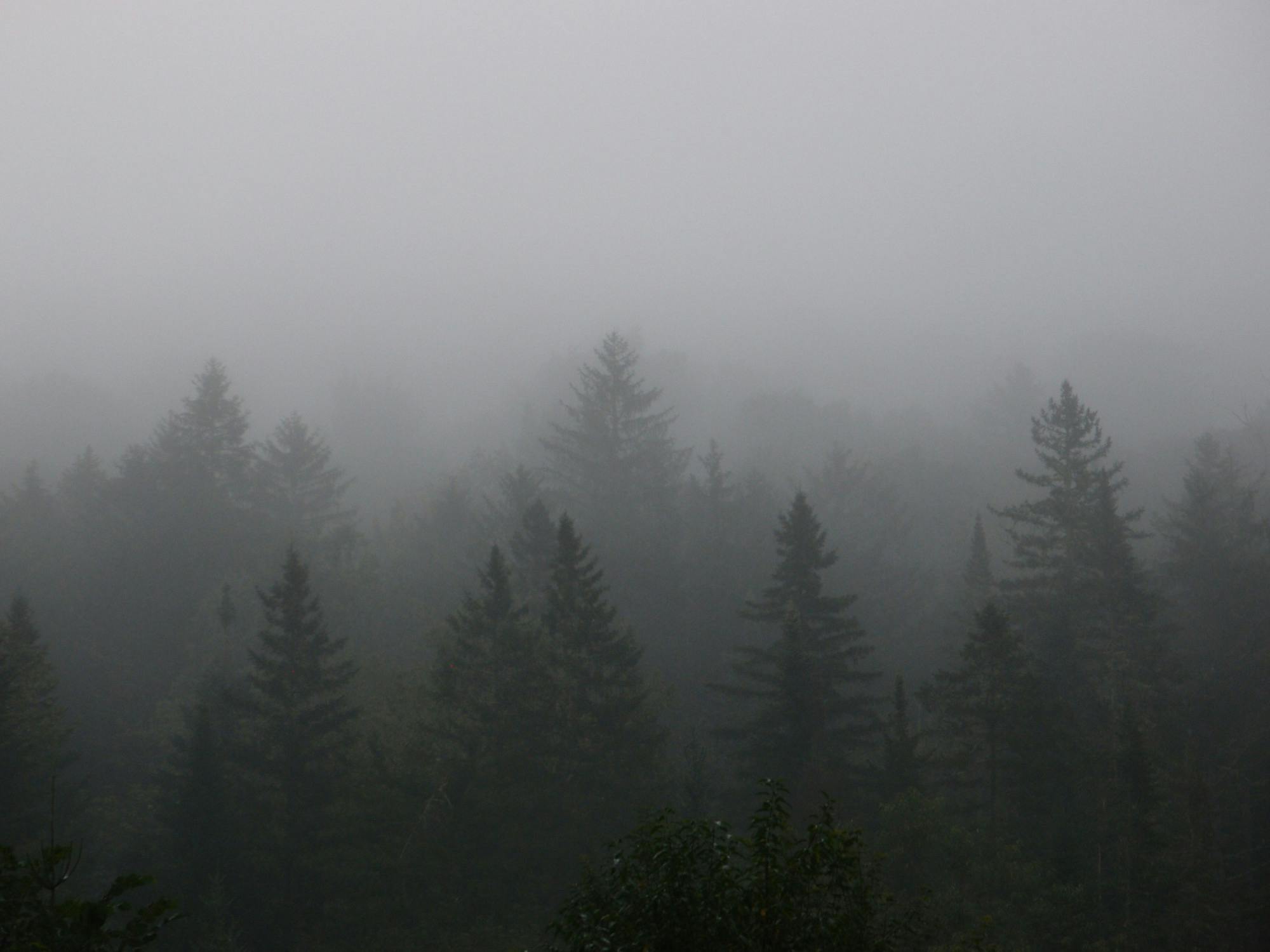 First-Year Trip D452.4: Cabin Camping and Nature Photography