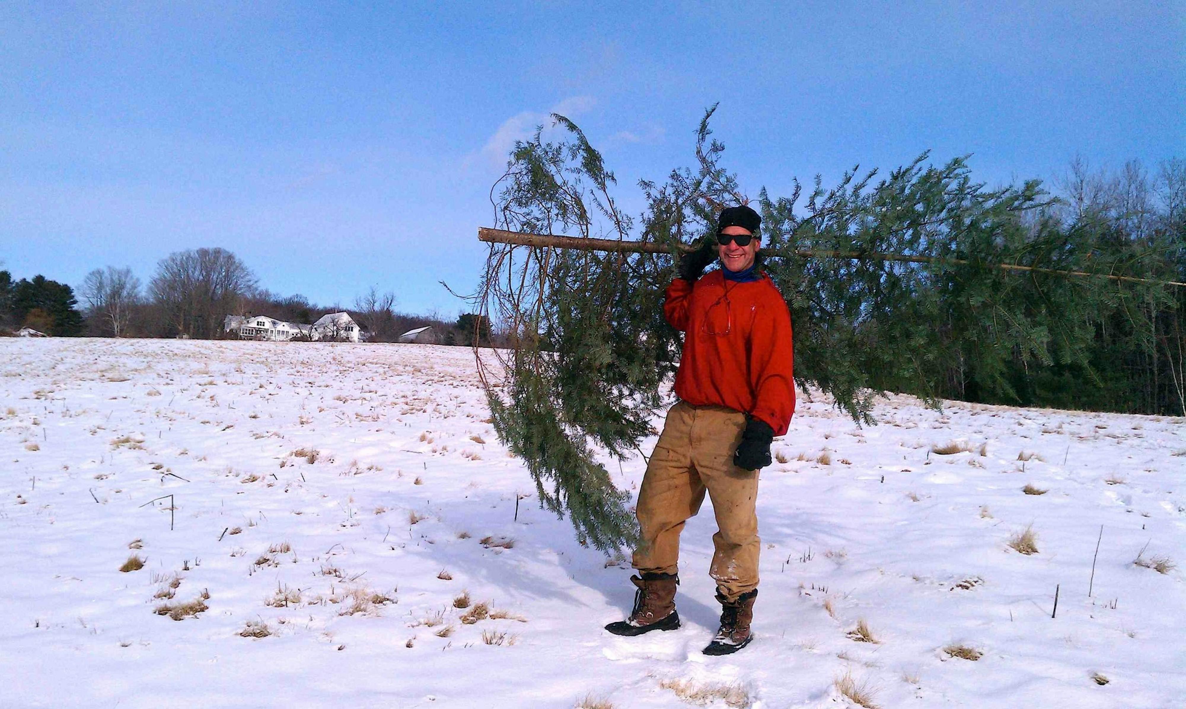 ttttree2013