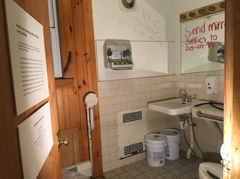 Lily Citrin 17’s “Martial and Juvenal (as well as Plinny And Quintillian)” was installed in Psi Upsilon fraternity’s bathroom.