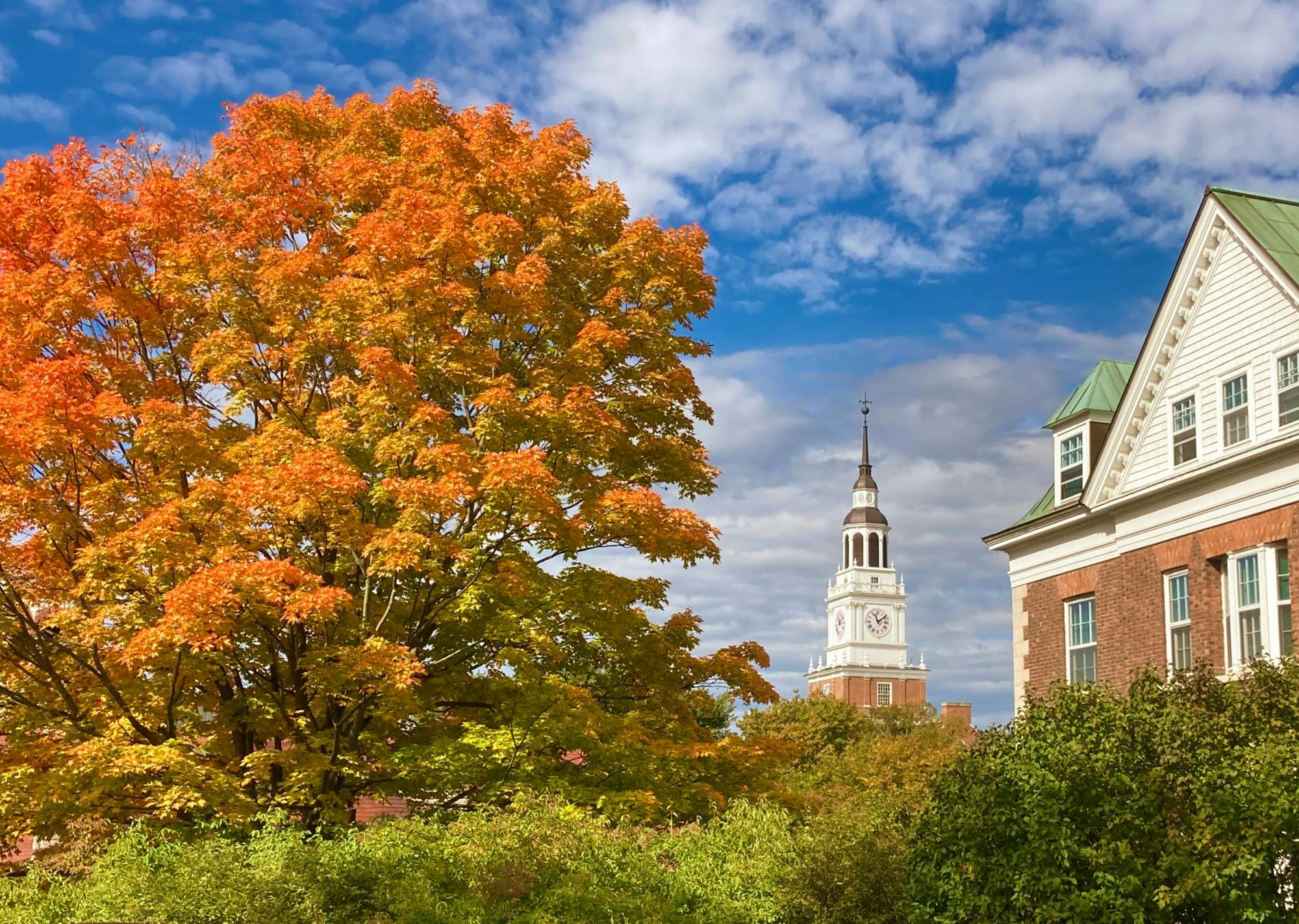 Photo Essay: Fall Foliage