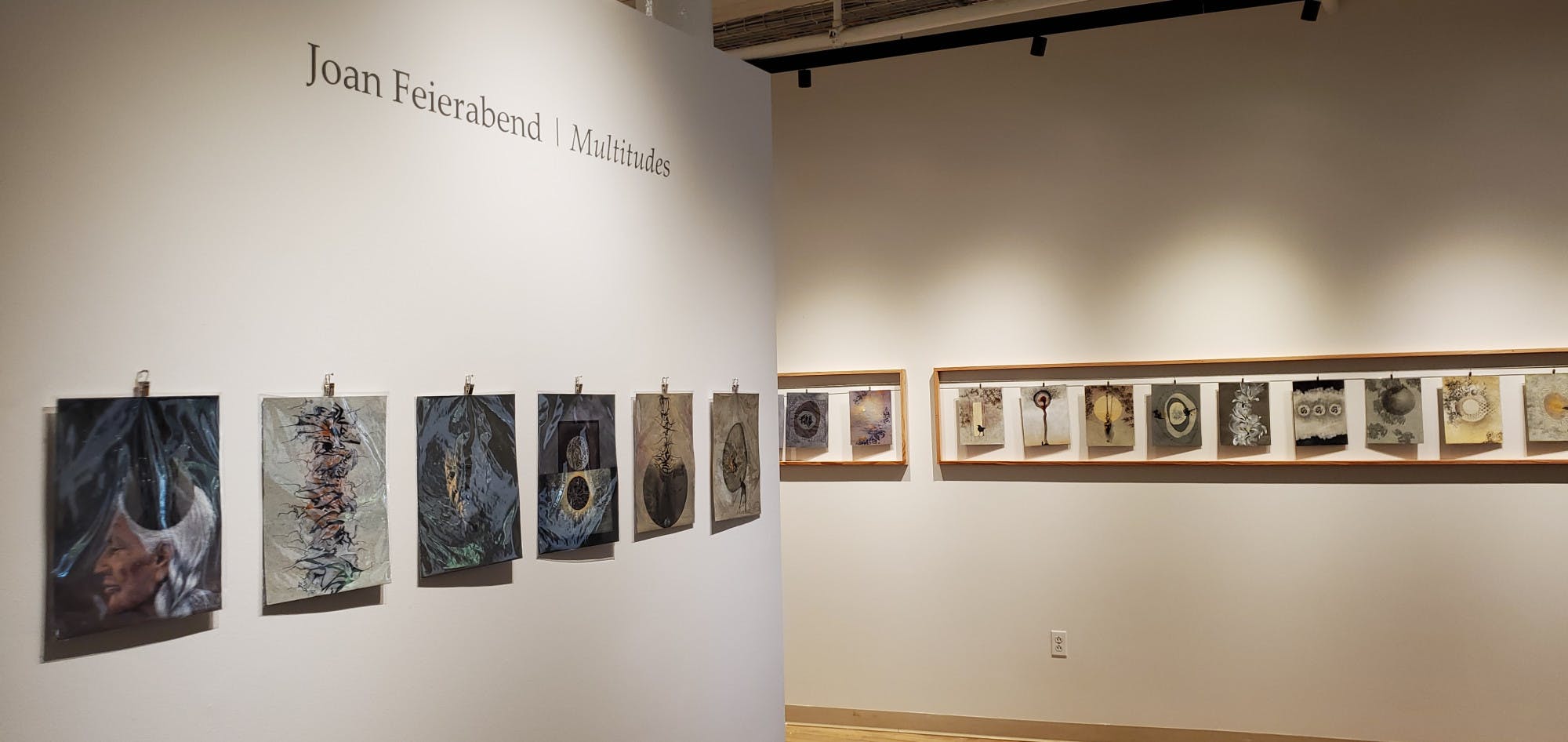 Joan Feierabend at AVA (2).jpg