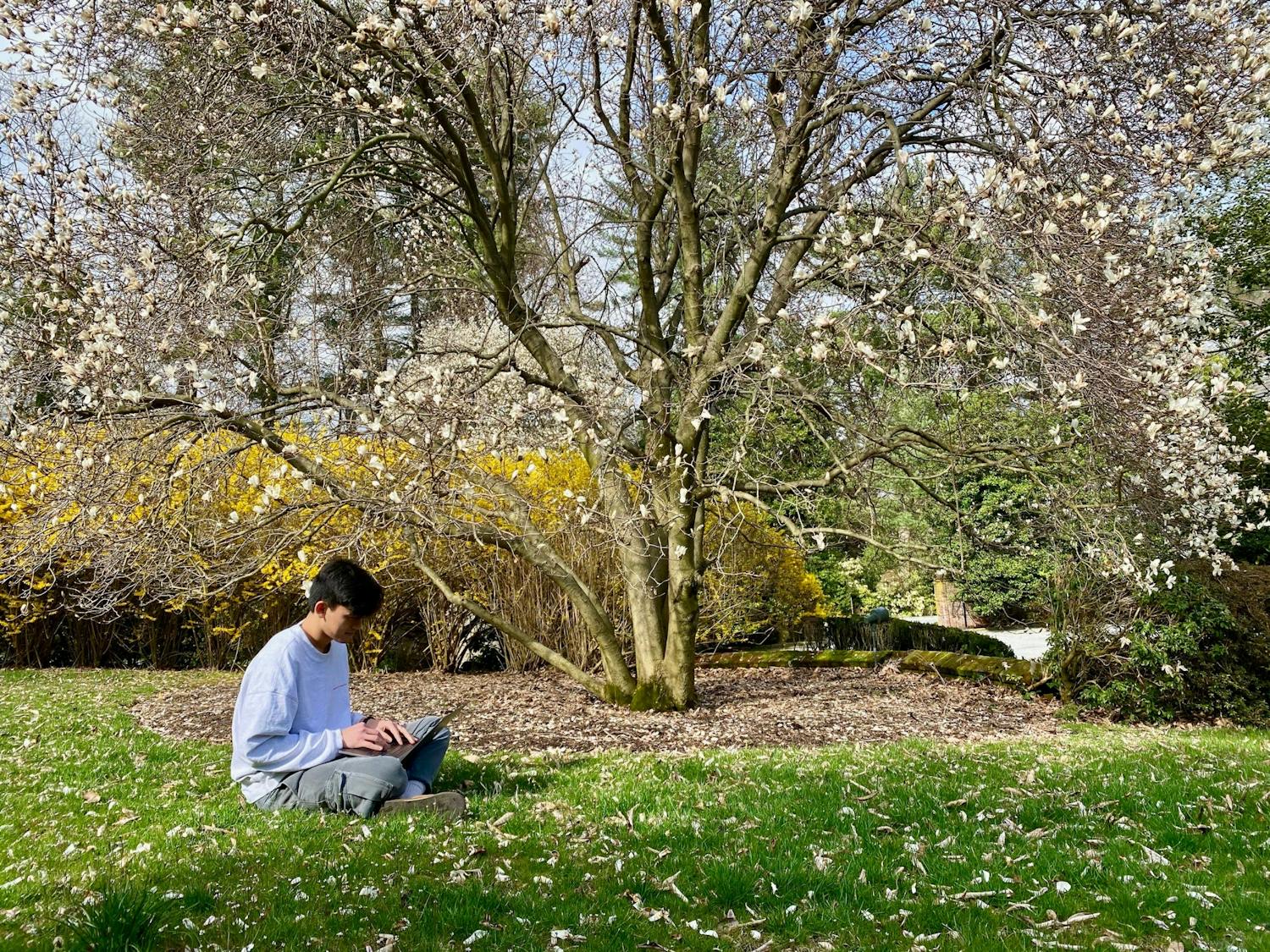 student using computer