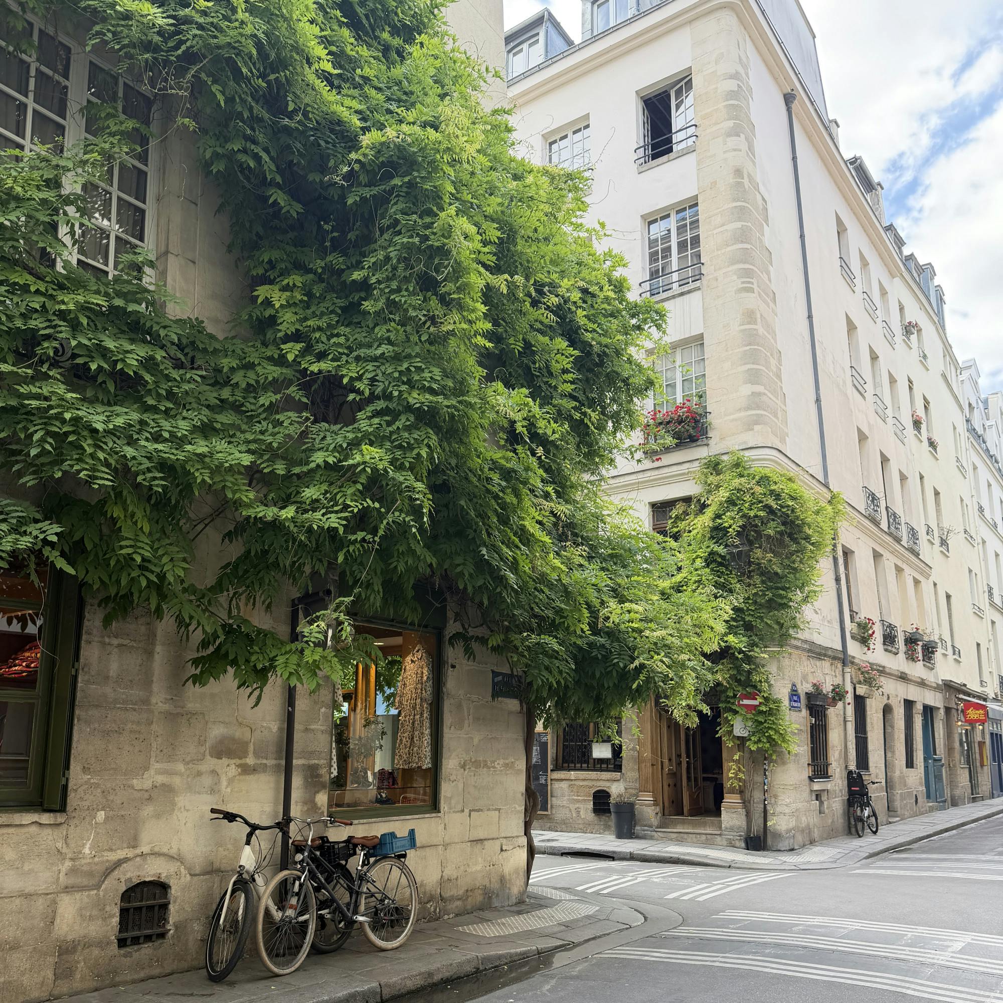 0000-rhyseedlich-paris.JPG