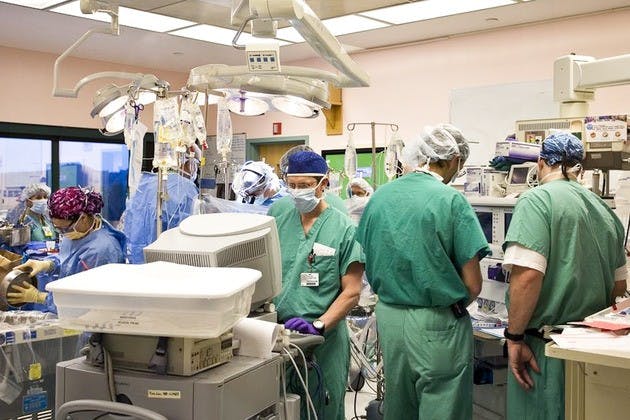 01.13.11.news.greenop