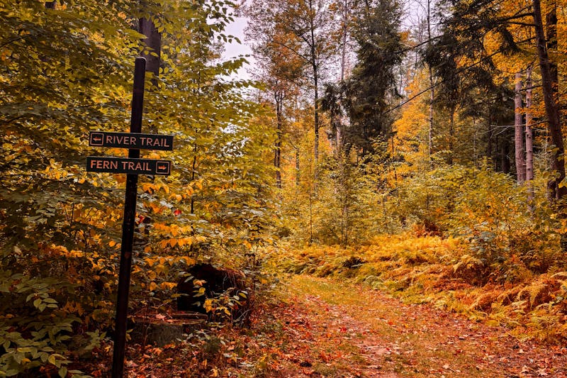 New Hampshire sees 'noticeable decline' in Canadian visitors during fall tourism season