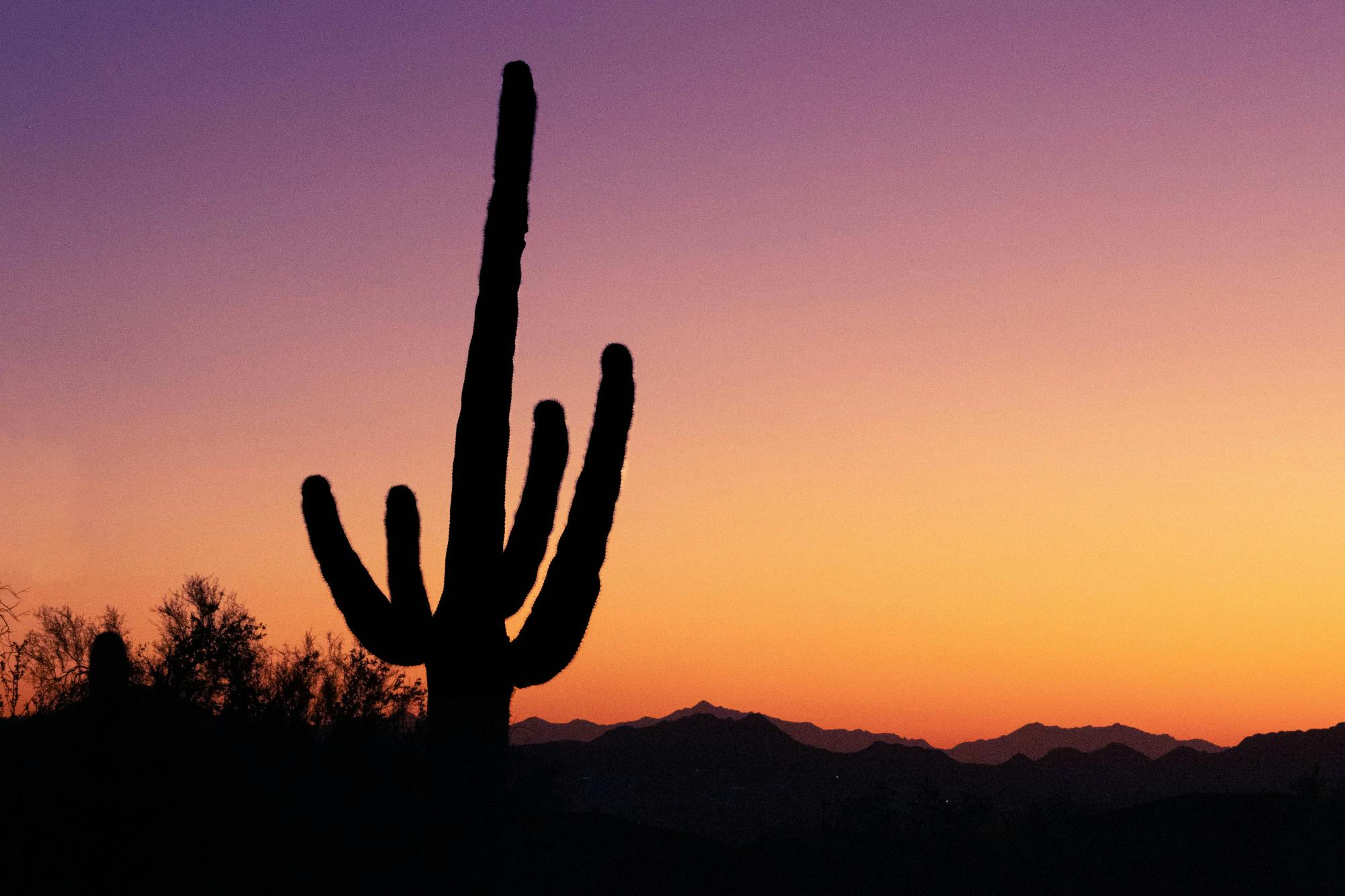 A Winterim Trip to the Southwest