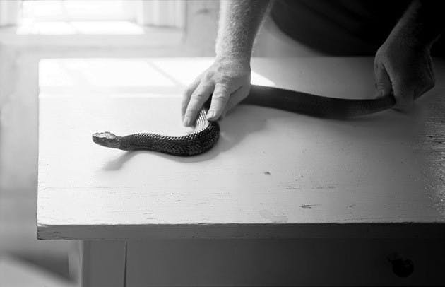 Brian Miller's exhibit of black and white photography will remain on display in the Strauss through Oct. 24.