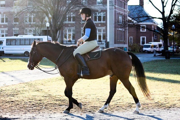 10.12.10.sports.equestrian