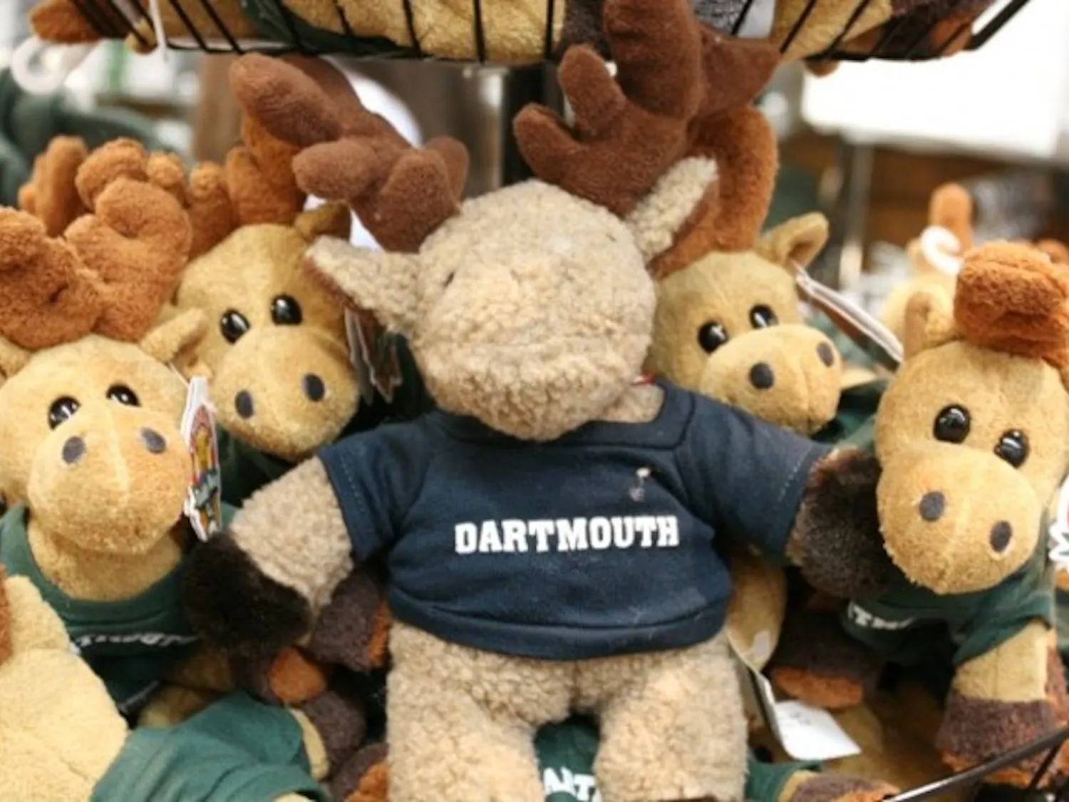 Dartmoose toys line shelves at the Dartmouth Co-op. Student Assembly is attempting to institute the Dartmoose as the College's official mascot.