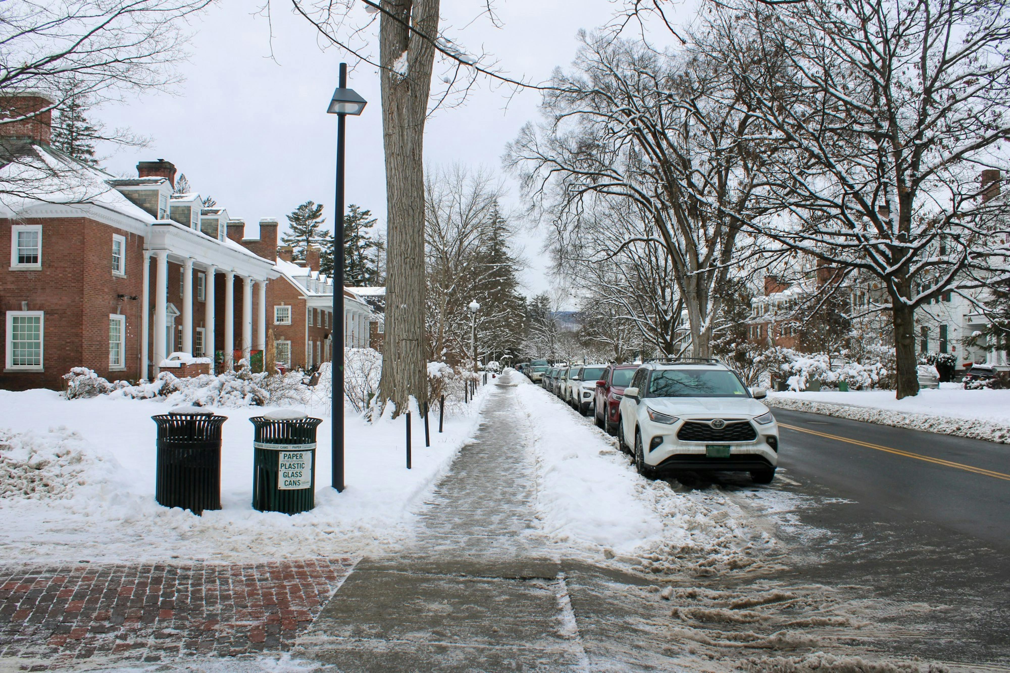 1-27-23-sophiascull-fratrow