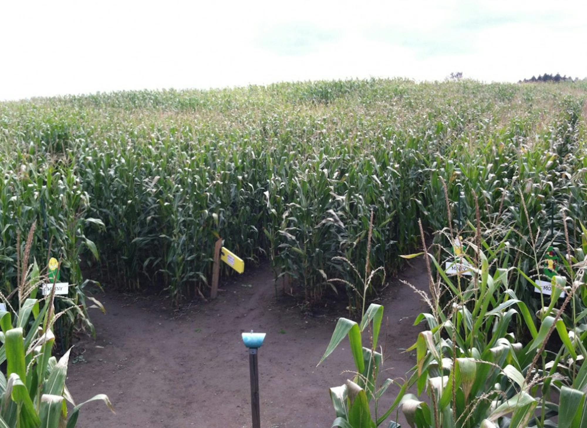 The Great Vermont Corn Maze is one of multiple maize-themed attractions in the Upper Valley available for students who wish to get lost off campus. 