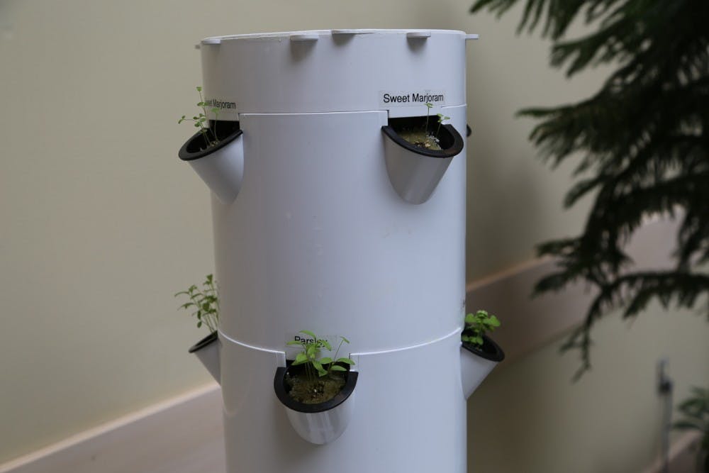 Students have been working with Dartmouth Dining Services on sustainability practices. 