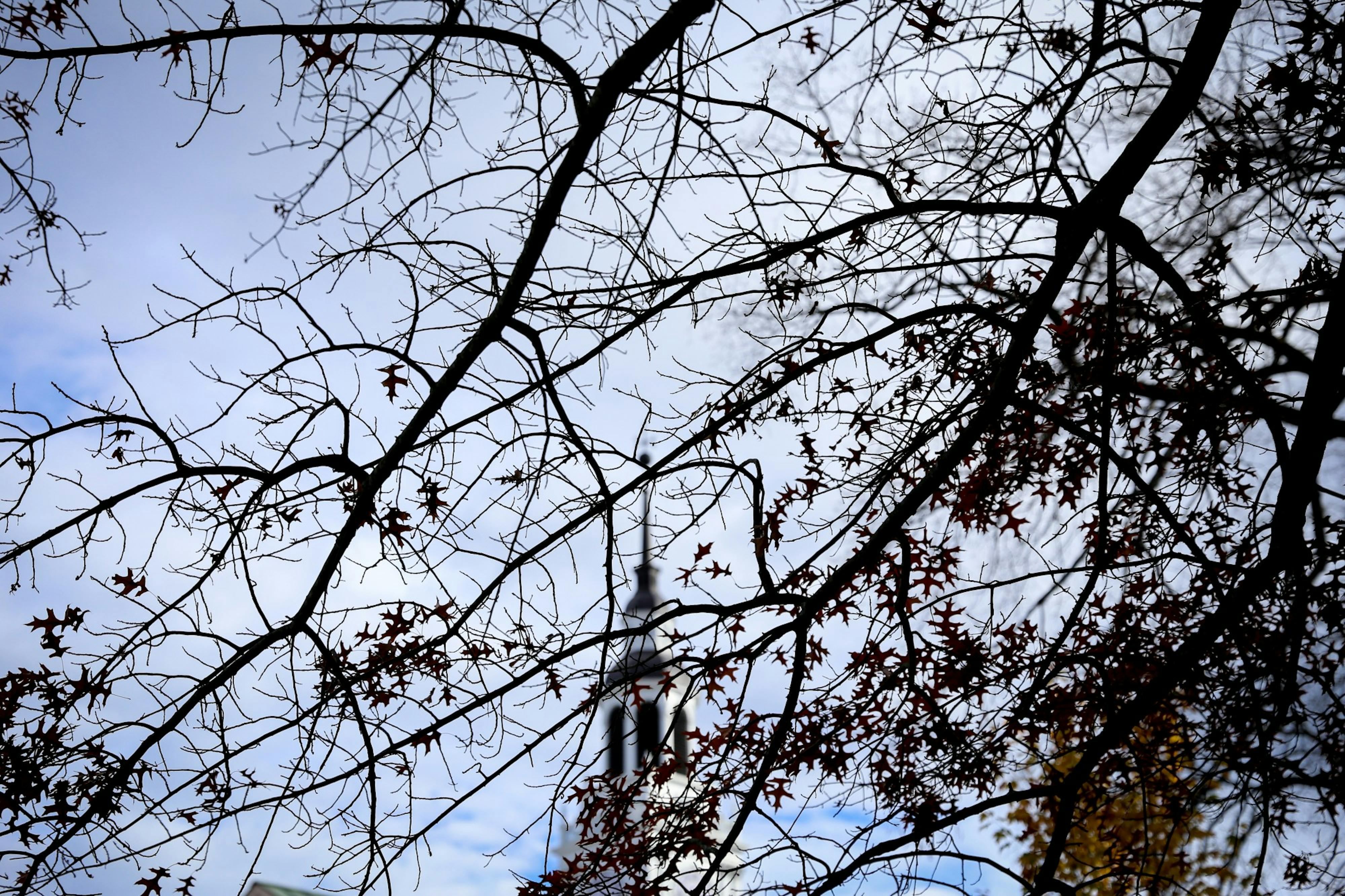 img-0873