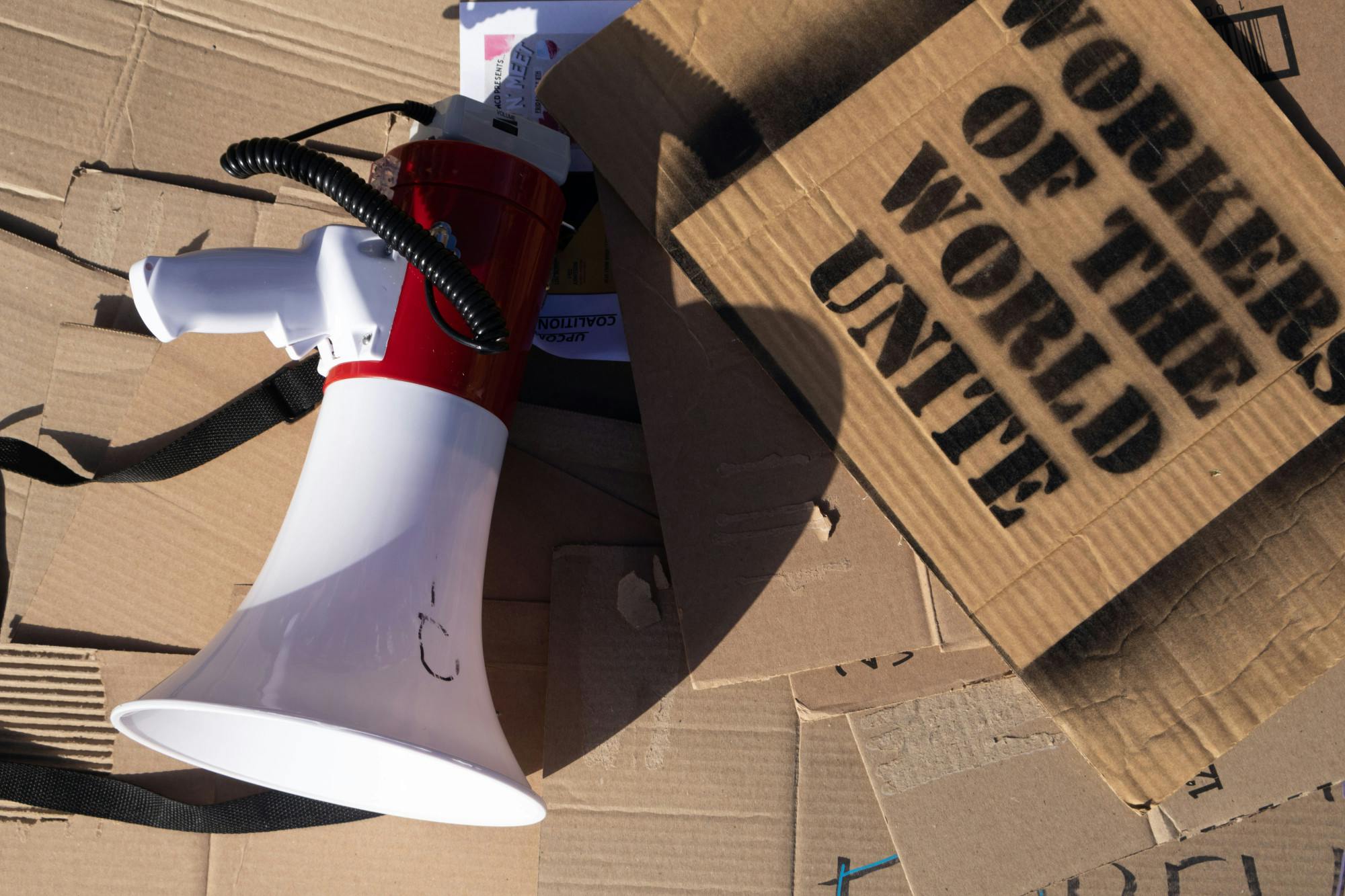 050126-elizabethray-protest2.jpg