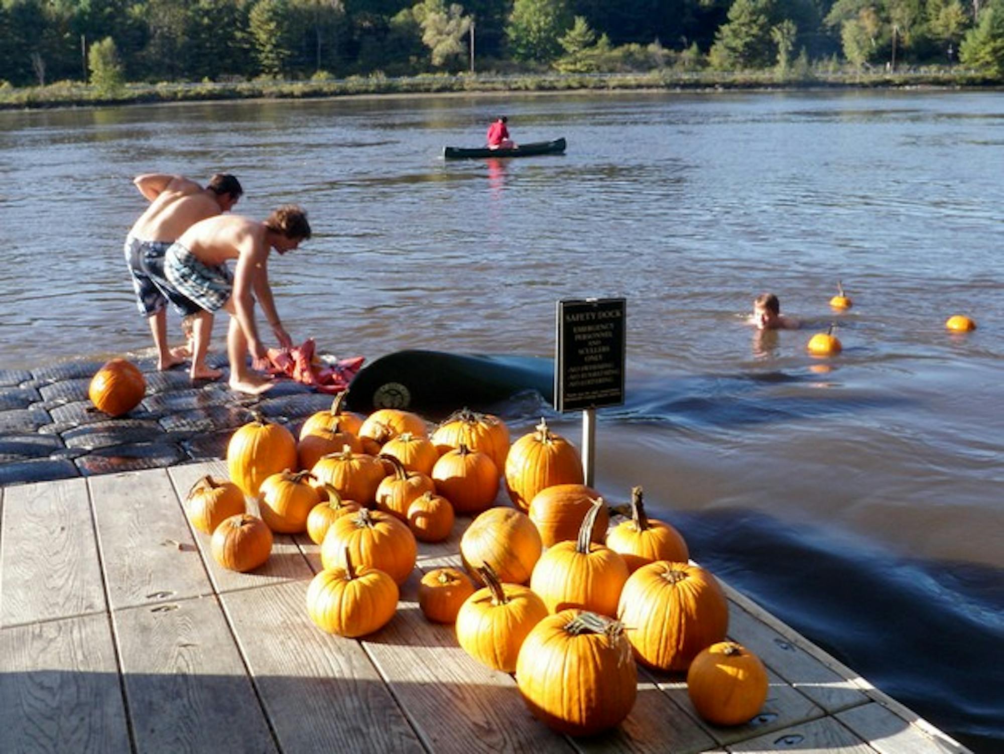 10.05.10.news.punkins