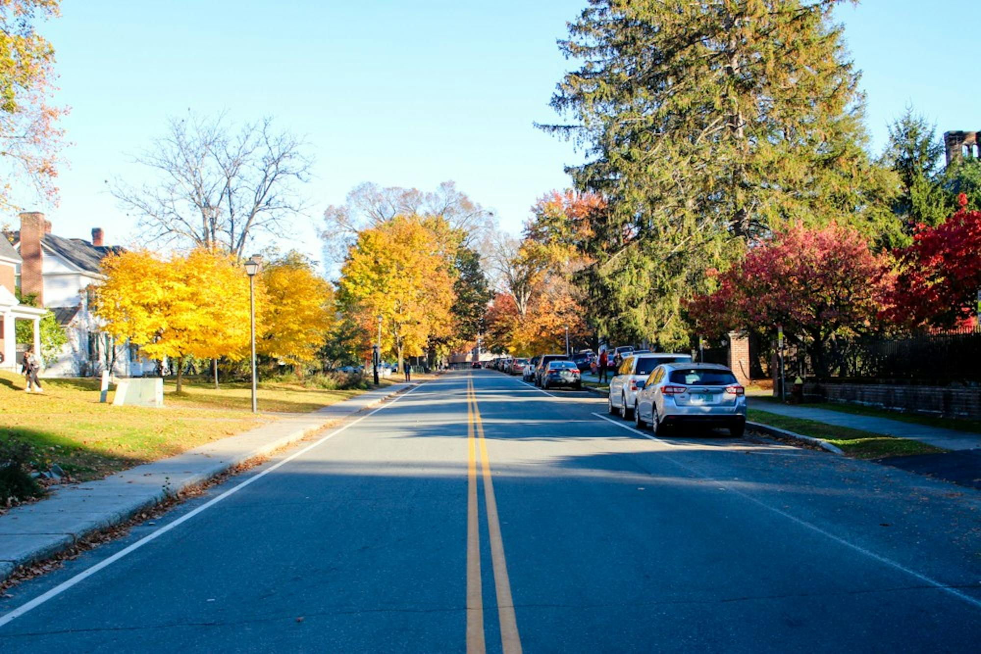 10-31-19-news-websterave1-sydneygillman