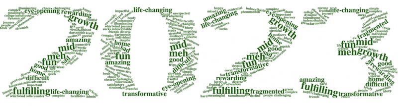 The Dartmouth asked members of the Class of 2023 to describe their Dartmouth experience in one word. This word cloud shows the results. 