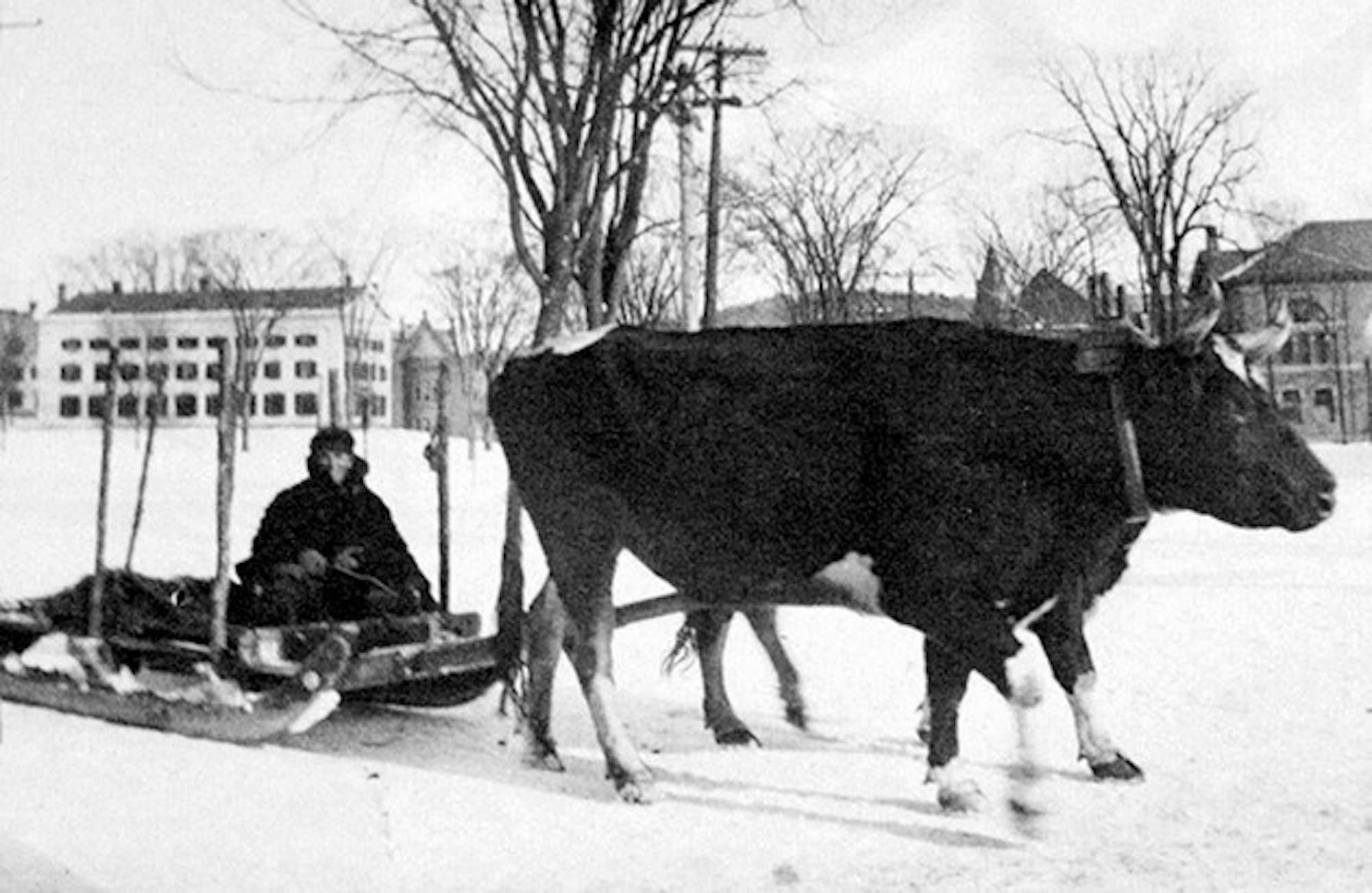Try to steal that, bike thieves!