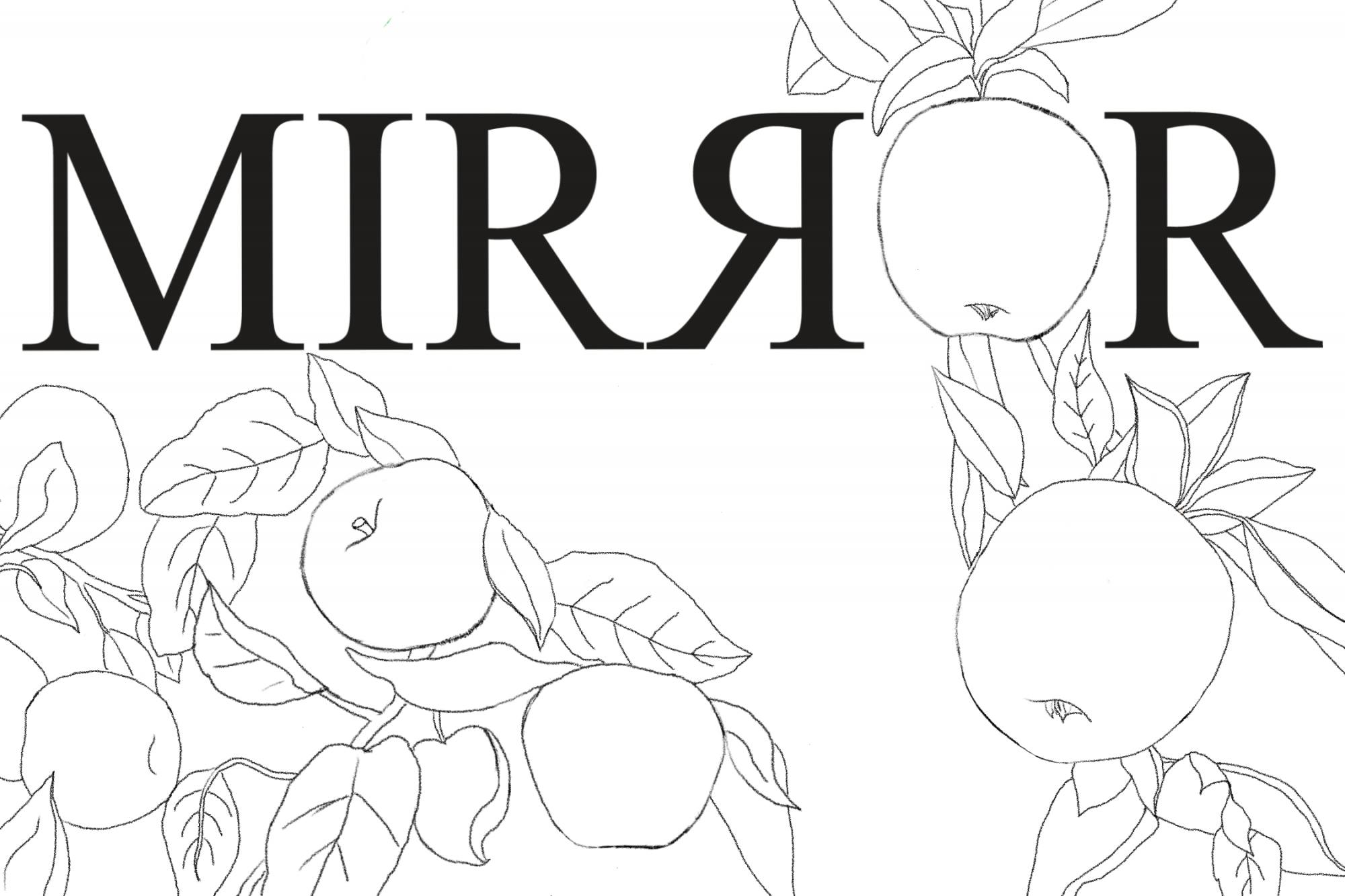 mirror cover 9.15.21.png