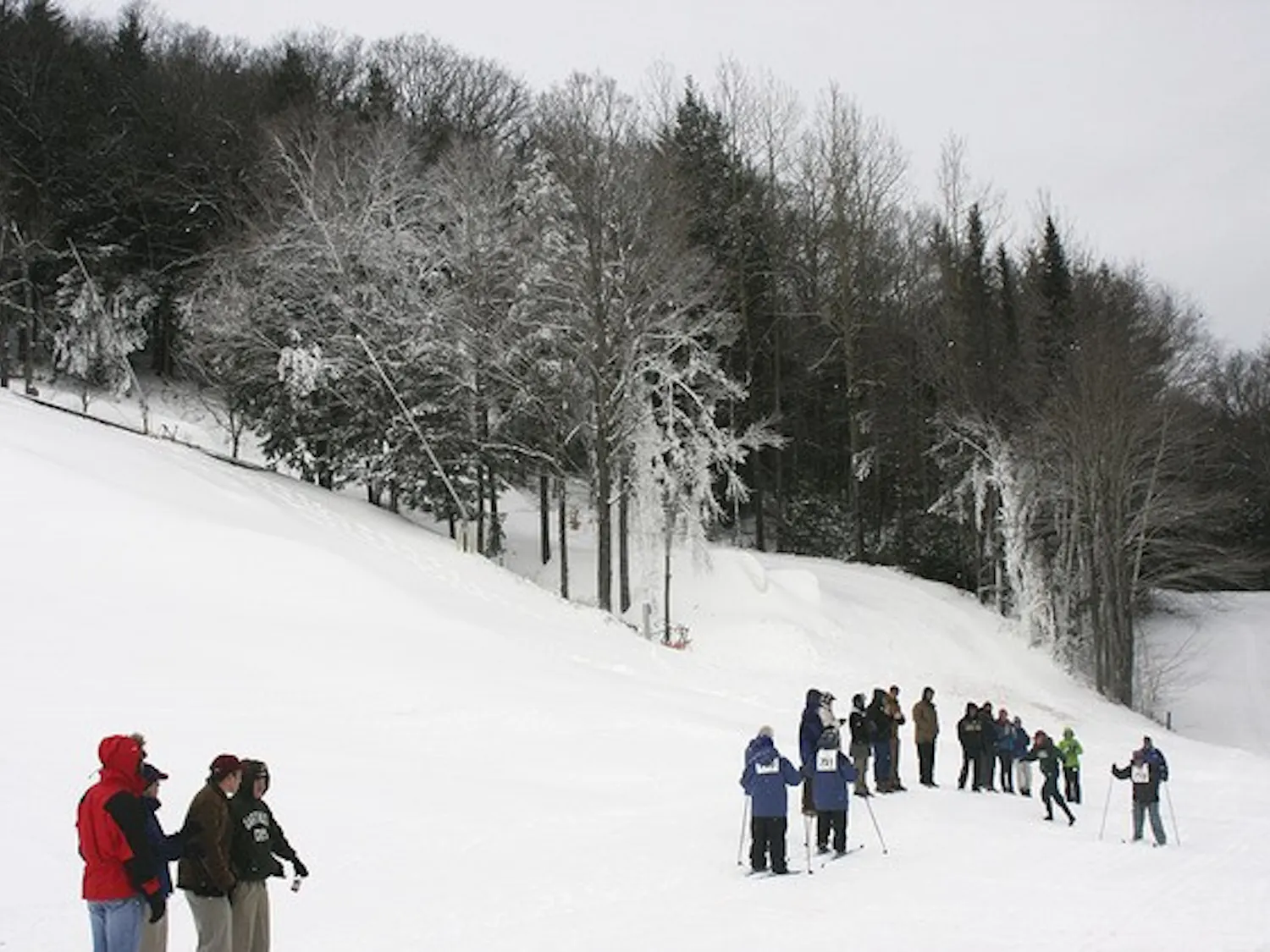 Dartmouth professors Jon Zinman and Eric Zitzewitz found that ski resorts exaggerate snow amounts by an average of 23 percent.