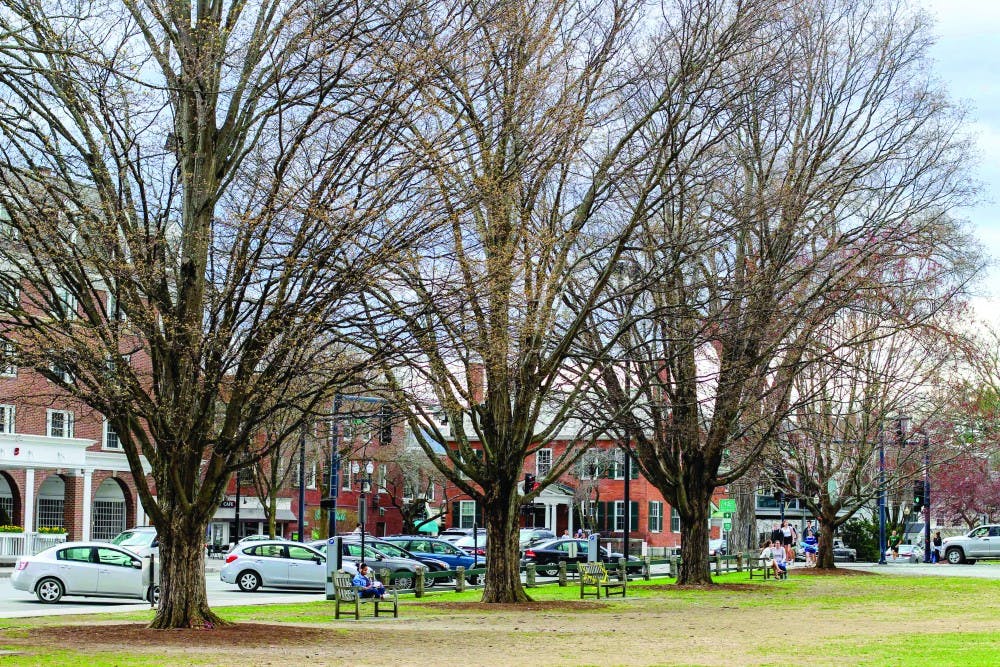 4-25-trees-sydneygillman