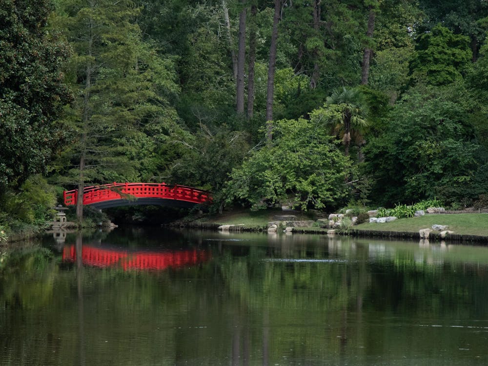 Duke Gardens Stock F24