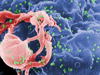 HIV_Wikimedia.jpg