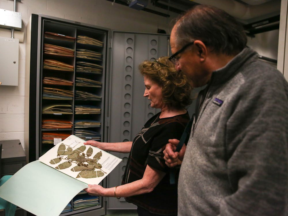 <p>Kathleen Pryer, director of the Duke Herbarium and professor of biology, and Paul Manos, professor in the biology department and associate curator of vascular plants at the Herbarium, observe a specimen in the Herbarium's Biological Sciences space.</p>