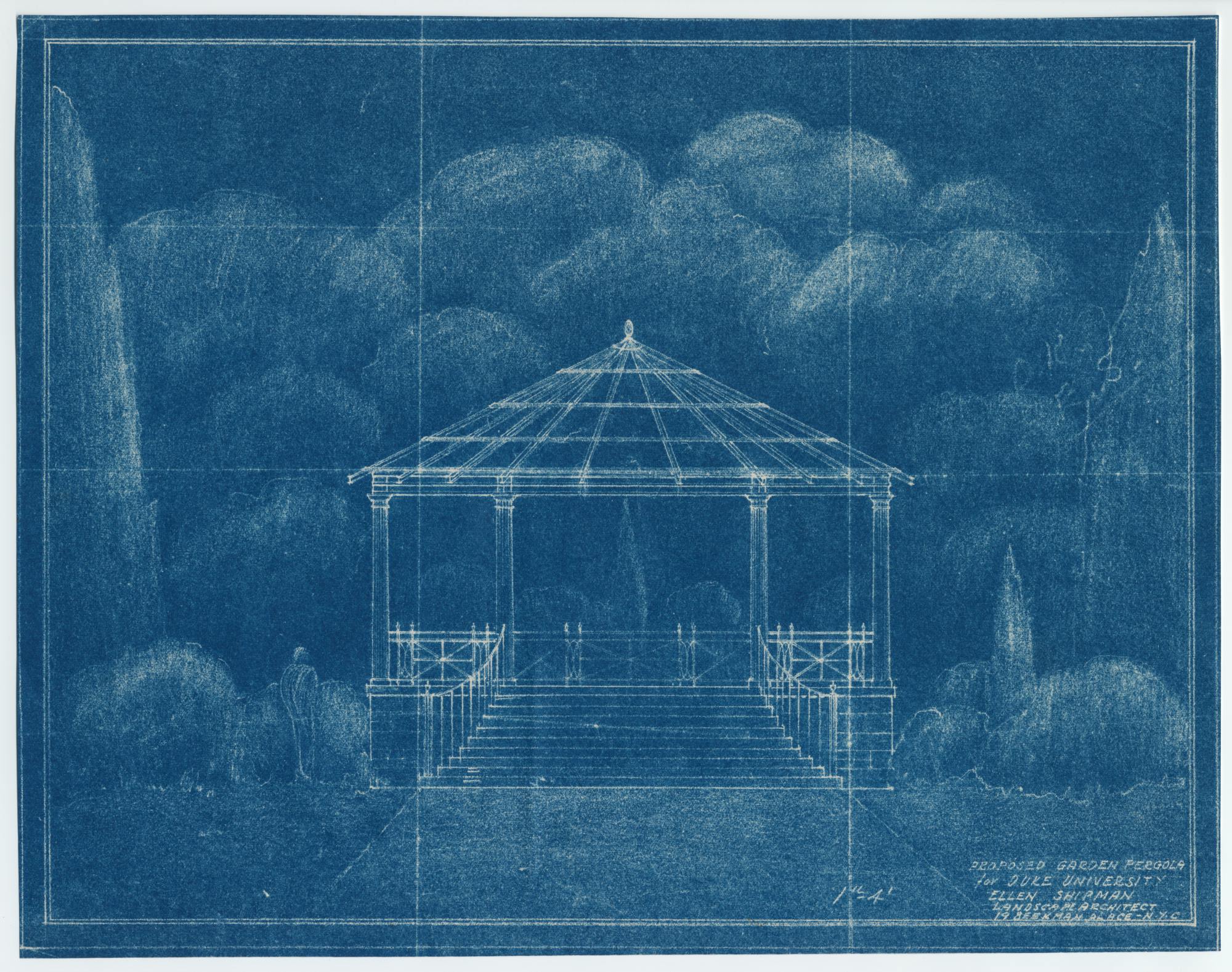 Blossoming from one Centennial to the next: The history of the