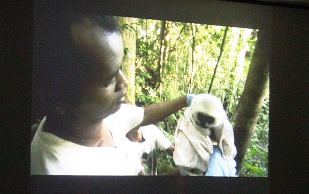 A documentary about critically endangered silky sifaka lemurs featuring Erik Patel, a postdoctoral researcher at the Duke Lemur Center, was presented on campus Monday night.