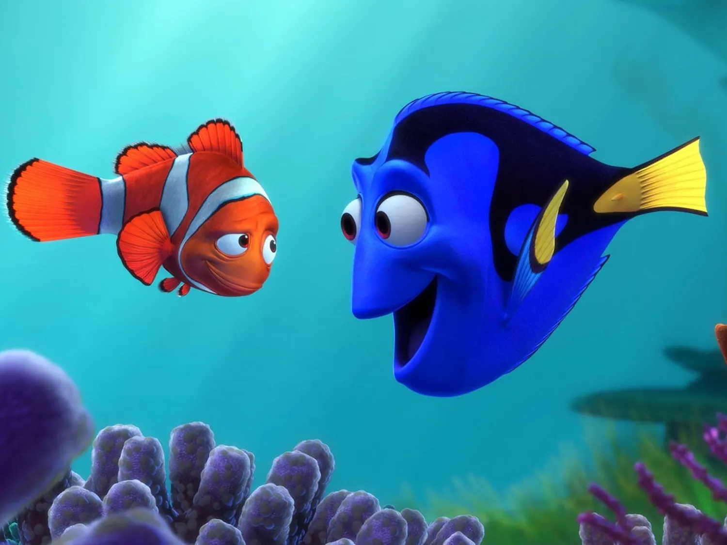 Finding Nemo Full Movie Full HD English Sub Online Finding Nemo Full Movie Full Hd English Sub Online