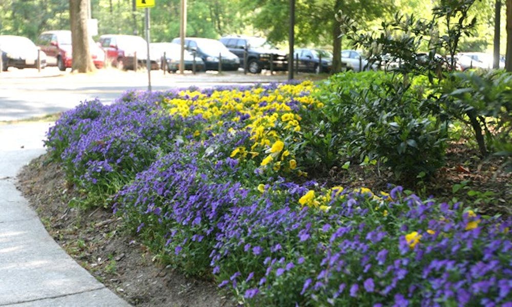 Flowers bloom in full color every year on campus as the weather gets warmer. The University’s team of 13 horticulturists, who have more than 30 years combined experience, are responsible for designing and maintaining Duke’s gardens.