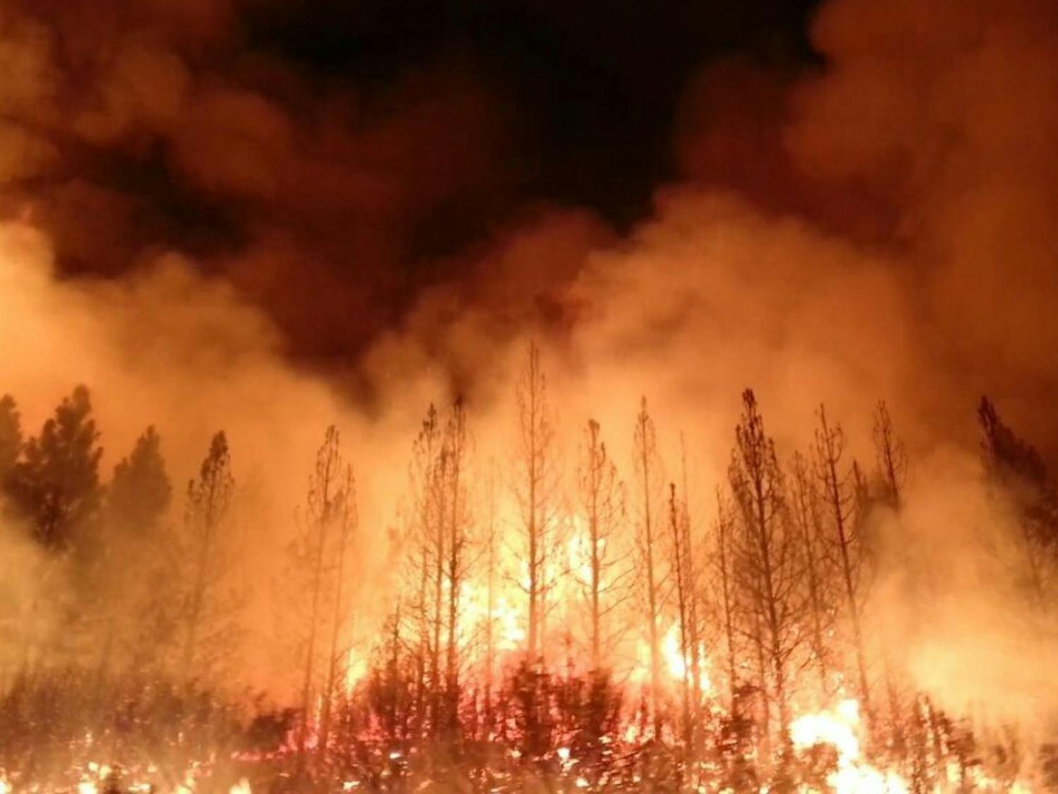 The Rim Fire in the Stanislaus National Forest near in California began on Aug. 17, 2013 and is under investigation. The fire has consumed approximately 149, 780 acres and is 15% contained. U.S. Forest Service photo.