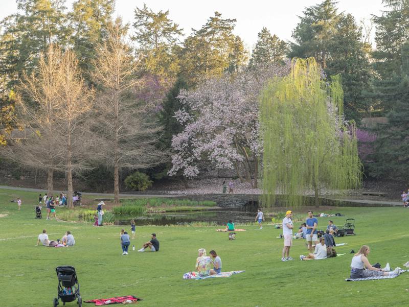 Staying in Durham for spring break? Here’s what to do - The Duke Chronicle