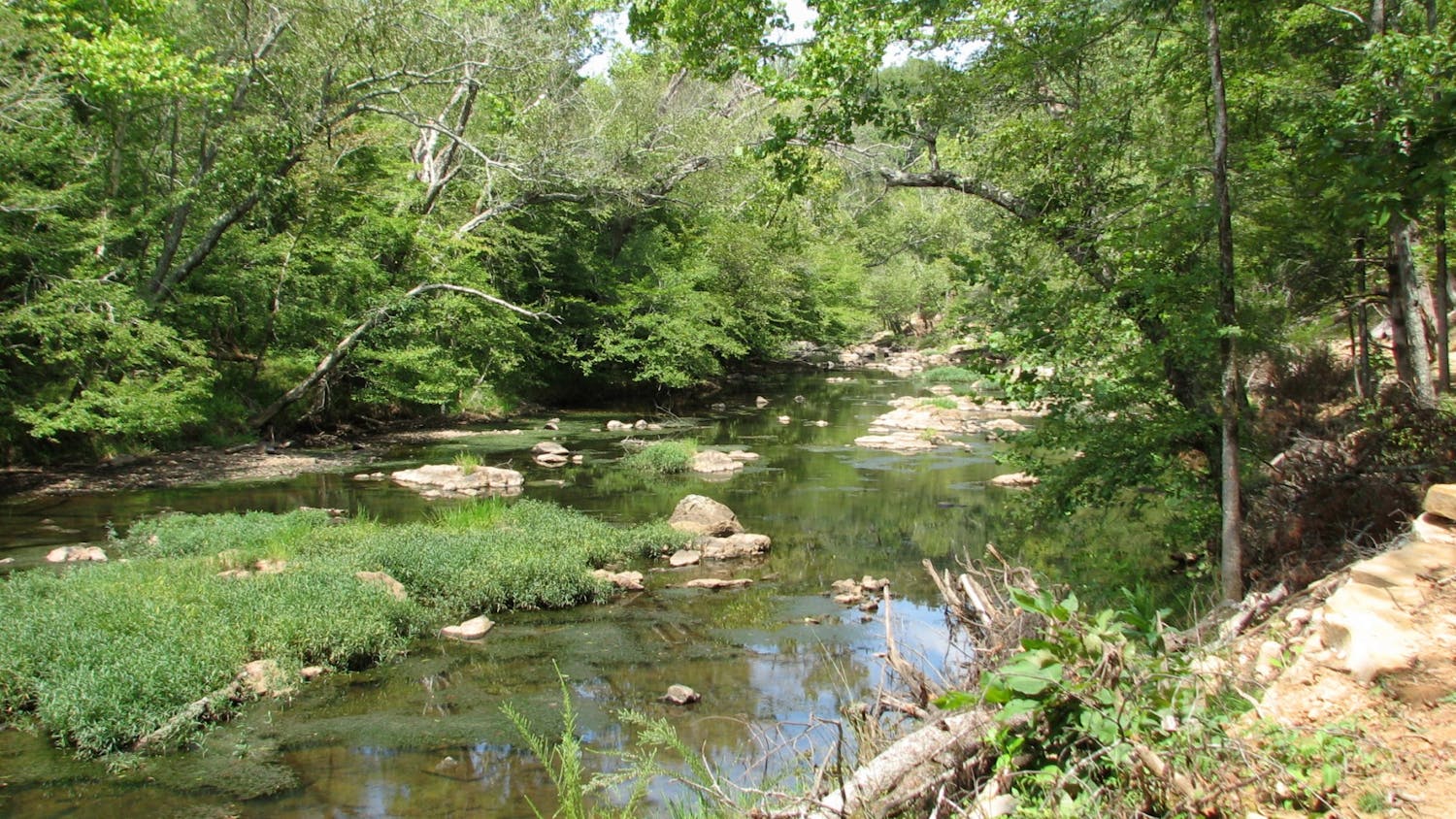 The Eno River State Park in Durham features 30 miles of hiking trails and a shallow, winding stream.