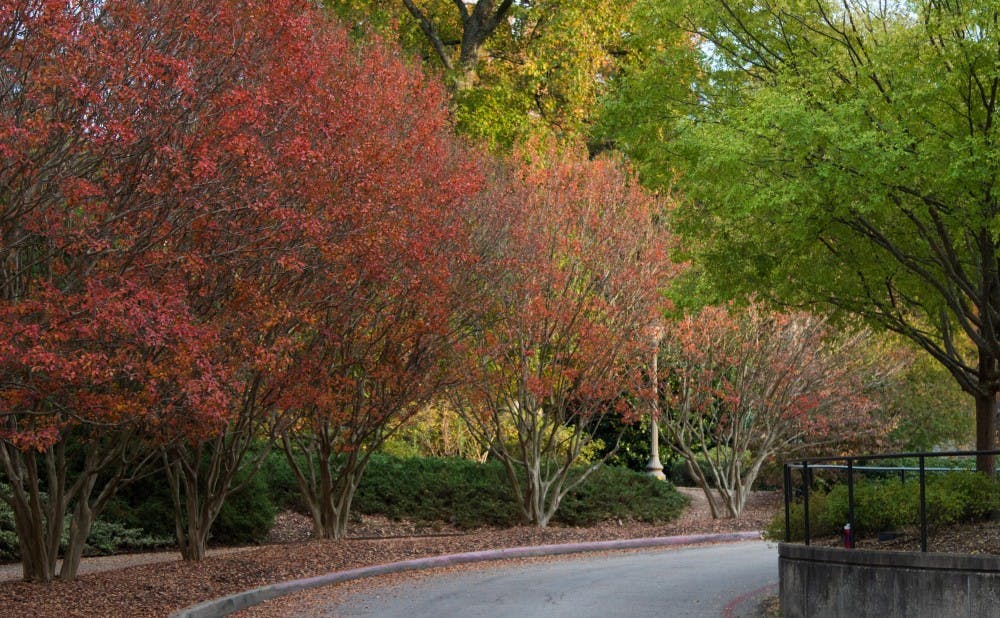 Red and yellow trees line the Bryan Center circle.