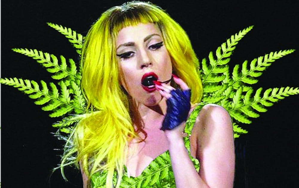 Biology professor Kathleen Pryer named a new genus of fern—composed of 19 species—Gaga, after pop icon Lady Gaga.  Pryer is a fan of Lady Gaga and her message of empowerment.