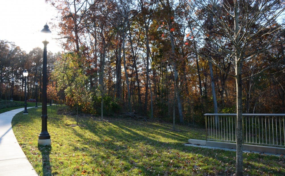 A portion of the Anderson Woods, pictured above, is the site of the new Health and Wellness Center scheduled to break ground in Spring 2015.