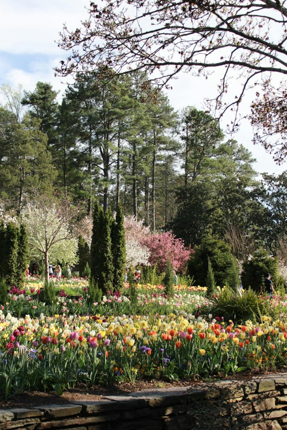 Visitors to the gardens enjoy a colorful view.