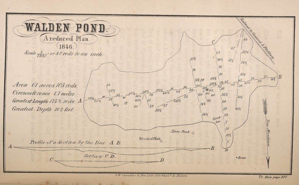 Henry David Thoreau's drawing of Walden pond is just one of many cool documents within the Rubenstein Library.